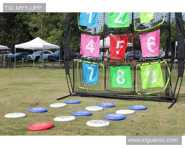 飞盘运动的崛起与吴丽的成功经验分享